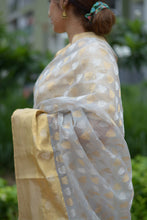 Load image into Gallery viewer, Grey Chanderi Saree with gold silver zari work
